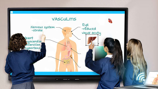 Interactive Flat Panels